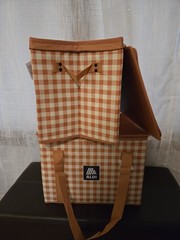 Aldi Insulated Collapsible Box Bag Tote Orange Gingham NEW
