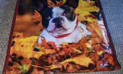 NWT Reusable Shopping Tote Bag Bulldog Puppy 15×13.5×8.25 Inches