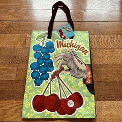 NWT Trader Joe’s MICHIGAN Regional Reusable Shopping Tote Bag Green/Red/Blue