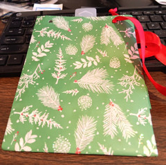 WONDERSHOP CHRISTMAS GREEN PLASTIC/PAPER GIFT BAG W/ HANDLES, 6″ x 5″ x 3″